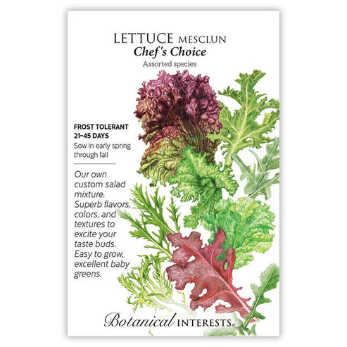 Lettuce Mesclun 'Chef's Choice'