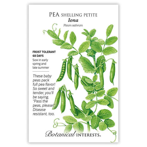 Pea Shelling 'Petite Iona'