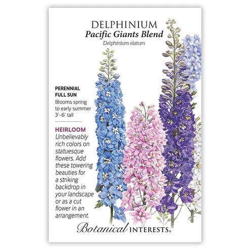 Delphinium 'Pacific Giant Blend'