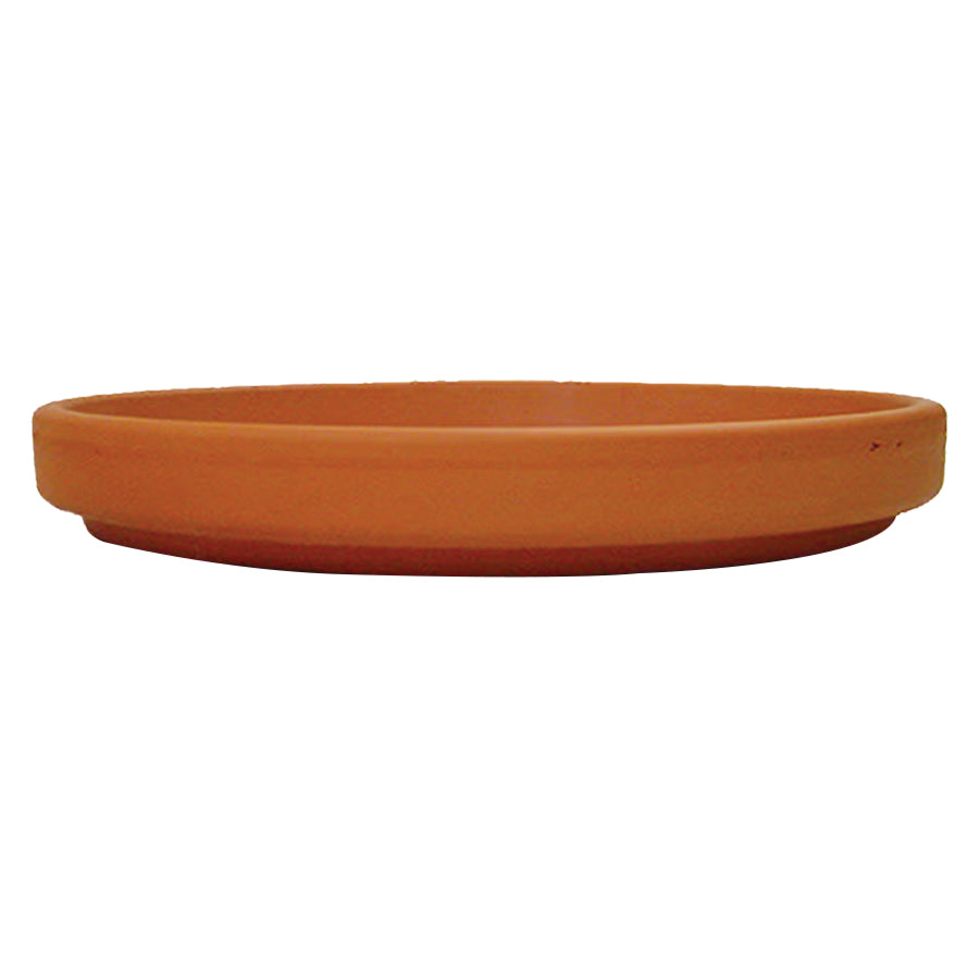 Standard Saucer