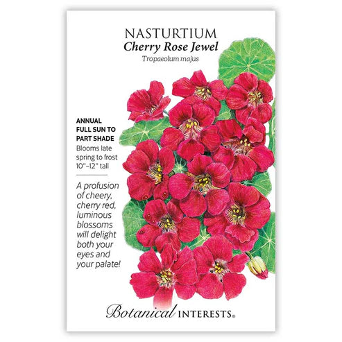 Nasturtium 'Cherry Rose Jewel'