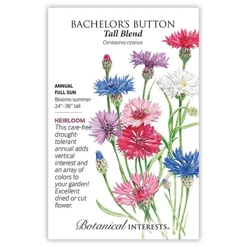 Bachelor 'Button Tall Blend'