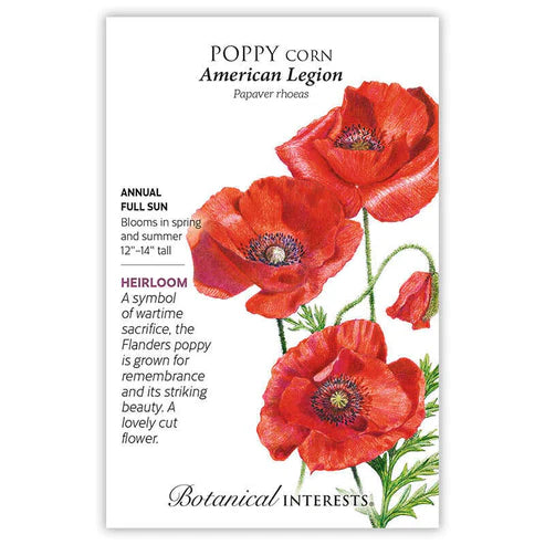 Poppy 'Corn American Legion'