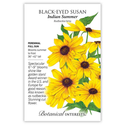 Black-Eyed Susan 'Cherokee Sunset'