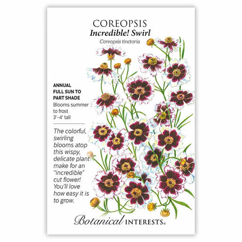 Coreopsis 'Incredible Swirl'