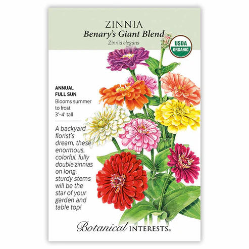 Zinnia 'Benary's Giant Blend'