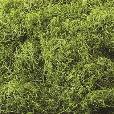 SuperMoss Spanish Moss BFG