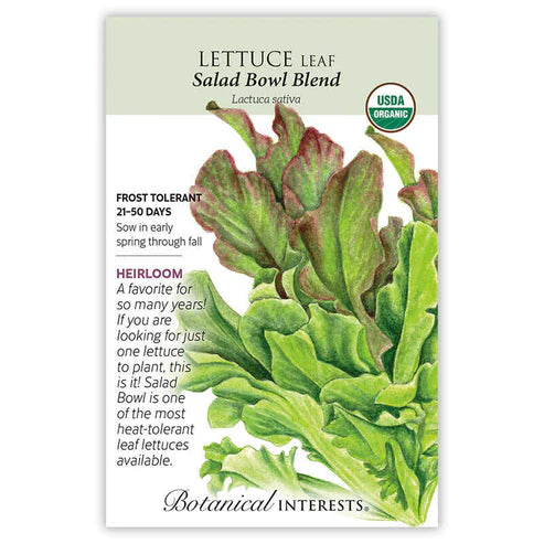 Lettuce 'Salad Bowl Blend'