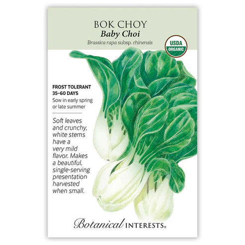 Bok Choy 'Baby Choi'