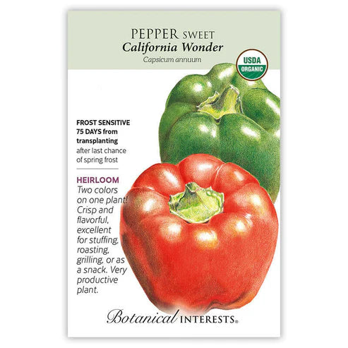 Pepper Sweet 'California Wonder'