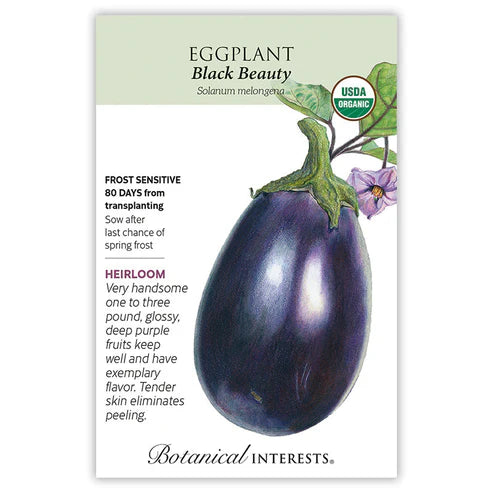 Eggplant 'Black Beauty'
