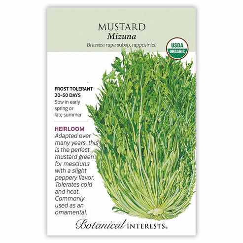 Mustard 'Mizuna'