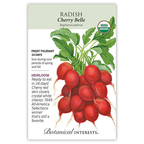 Radish 'Cherry Belle'