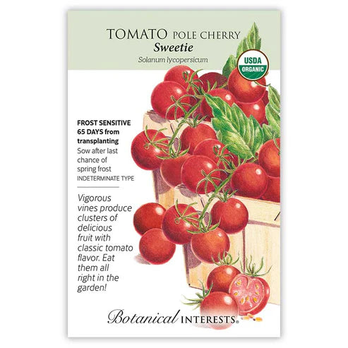 Tomato Cherry 'Sweetie'