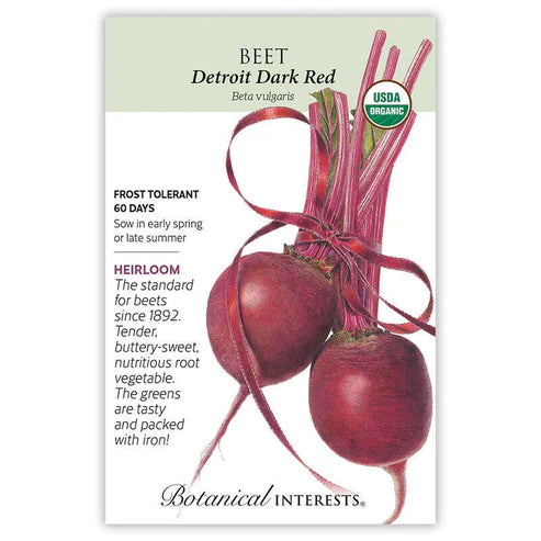 Beet 'Detroit Dark Red'
