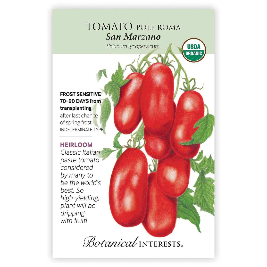 Tomato 'Pole Roma San Marzano'