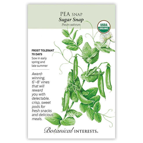 Pea 'Sugar Snap' Organic - Large