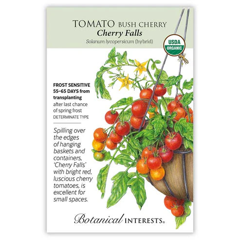 Tomato Cherry 'Cherry Falls'