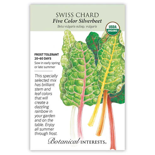 Swiss Chard 'Five Color'