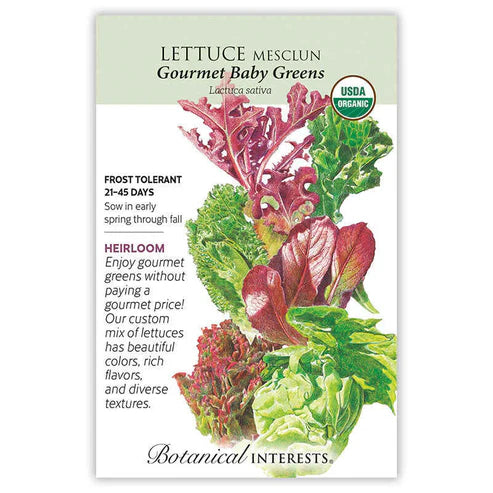 Lettuce Mesclun 'Gourmet Baby'