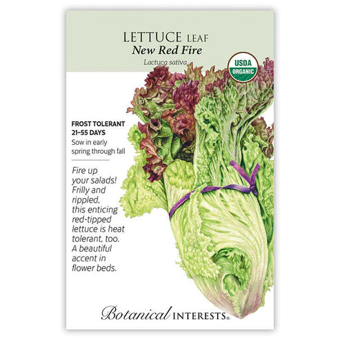 Lettuce 'New Red Fire'