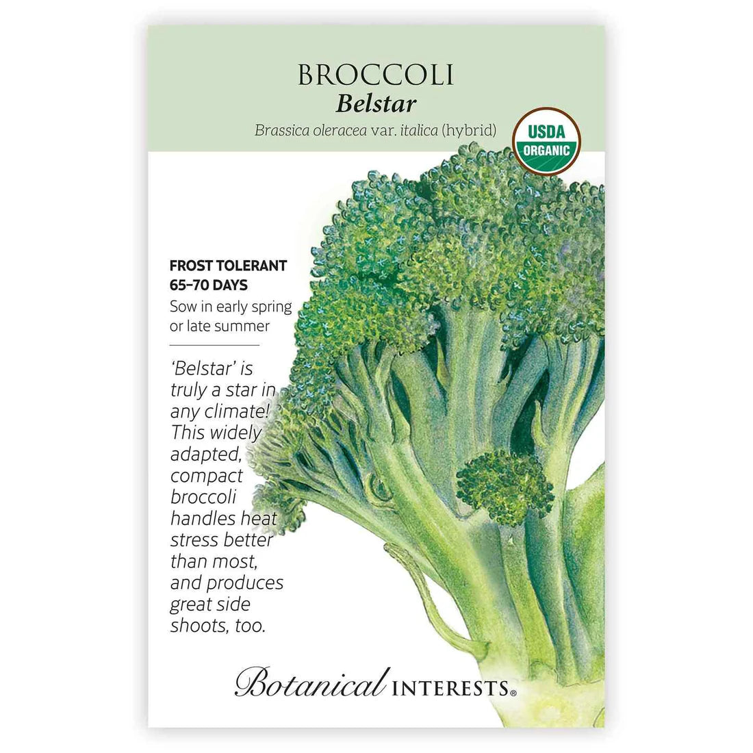 Broccoli 'Belstar'