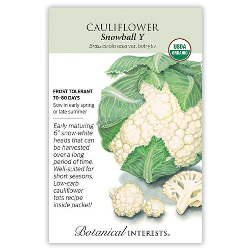 Cauliflower 'Snowball Y'