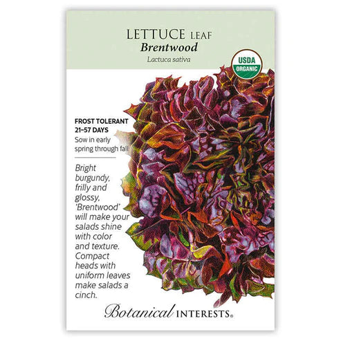 Lettuce 'Easyleaf Brentwood' Organic