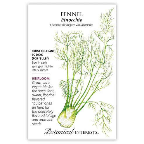 Fennel 'Finocchio'