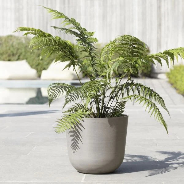 Oslo Planter w/ Saucer