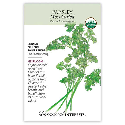 Parsley 'Curled'