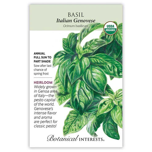 Basil 'Italian Genovese'