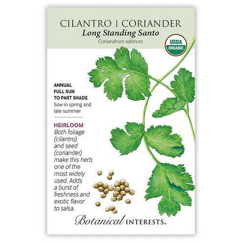 Cilantro 'Santo'