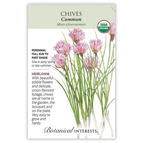 Chives 'Common'