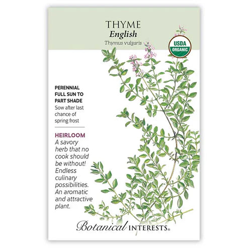 Thyme 'English'