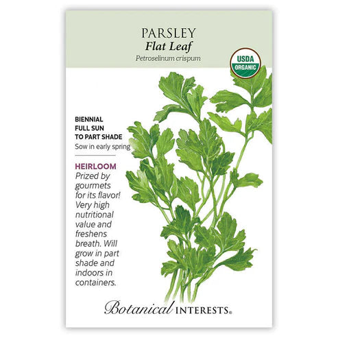 Parsley 'Flat Leaf'