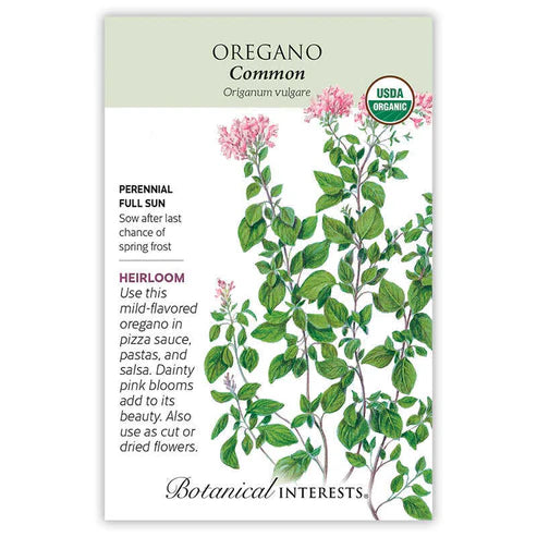 Oregano 'Common'