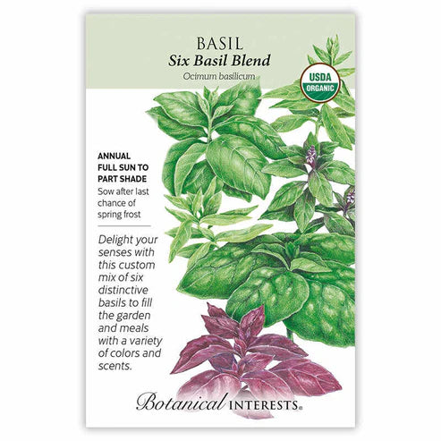 Basil 'Six Basil Blend' Organic