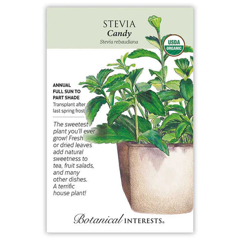 Stevia 'Candy'