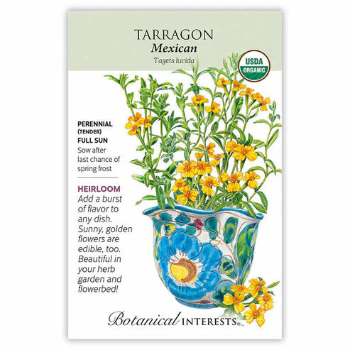 Tarragon 'Mexican' Organic