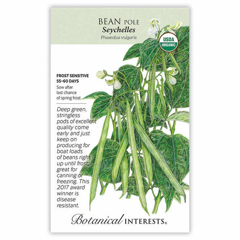 Bean Pole 'Seychelles'