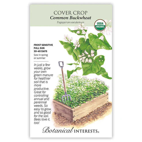 Cover Crop 'Buckwheat' Organic