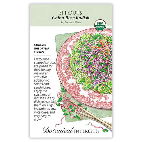 Sprouts 'Radish China Rose' Organic