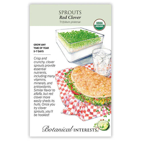 Sprouts 'Red Clover' Organic