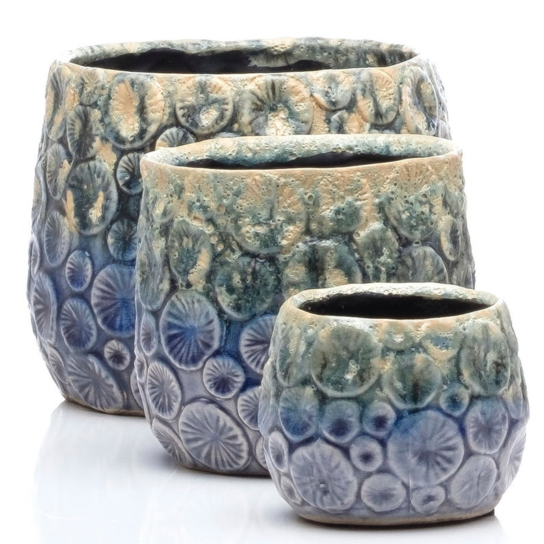 ALF Spectra Petits Pot