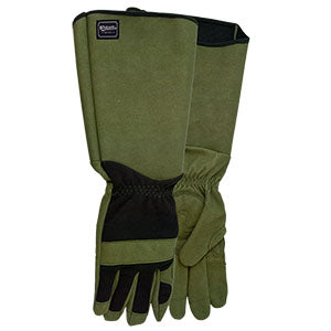 Watson GAME OF THORNS Gloves