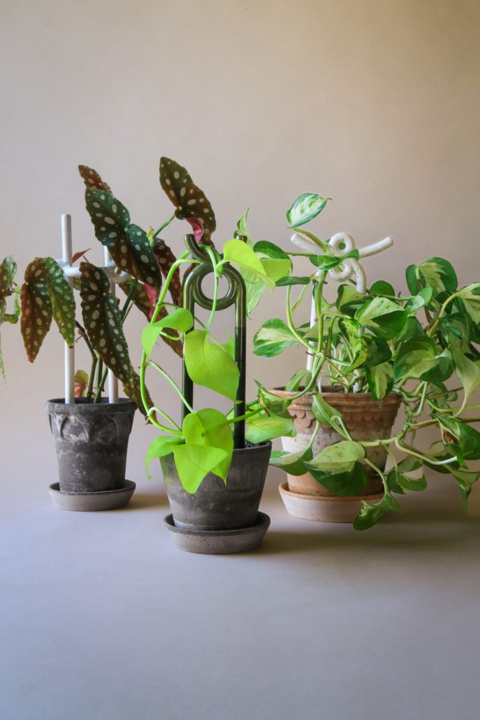 Bergs 'Folk' Plant Stake