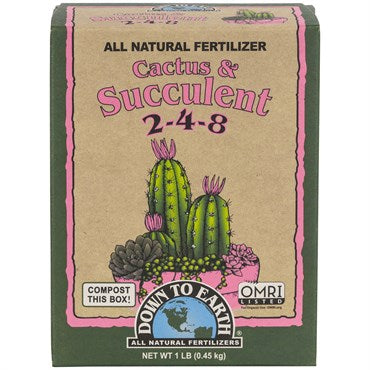 DTE Cactus Mix