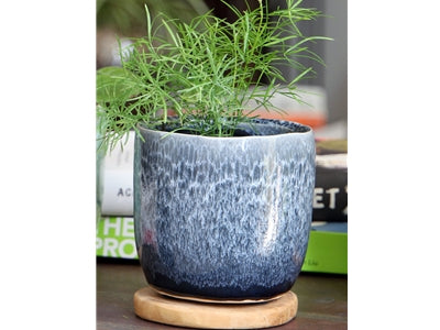 Jewel Teacup Planter