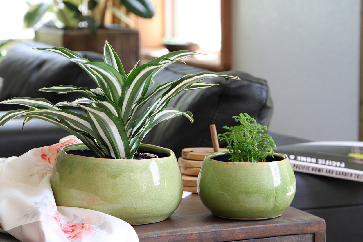 Jewel Freeform Bowl